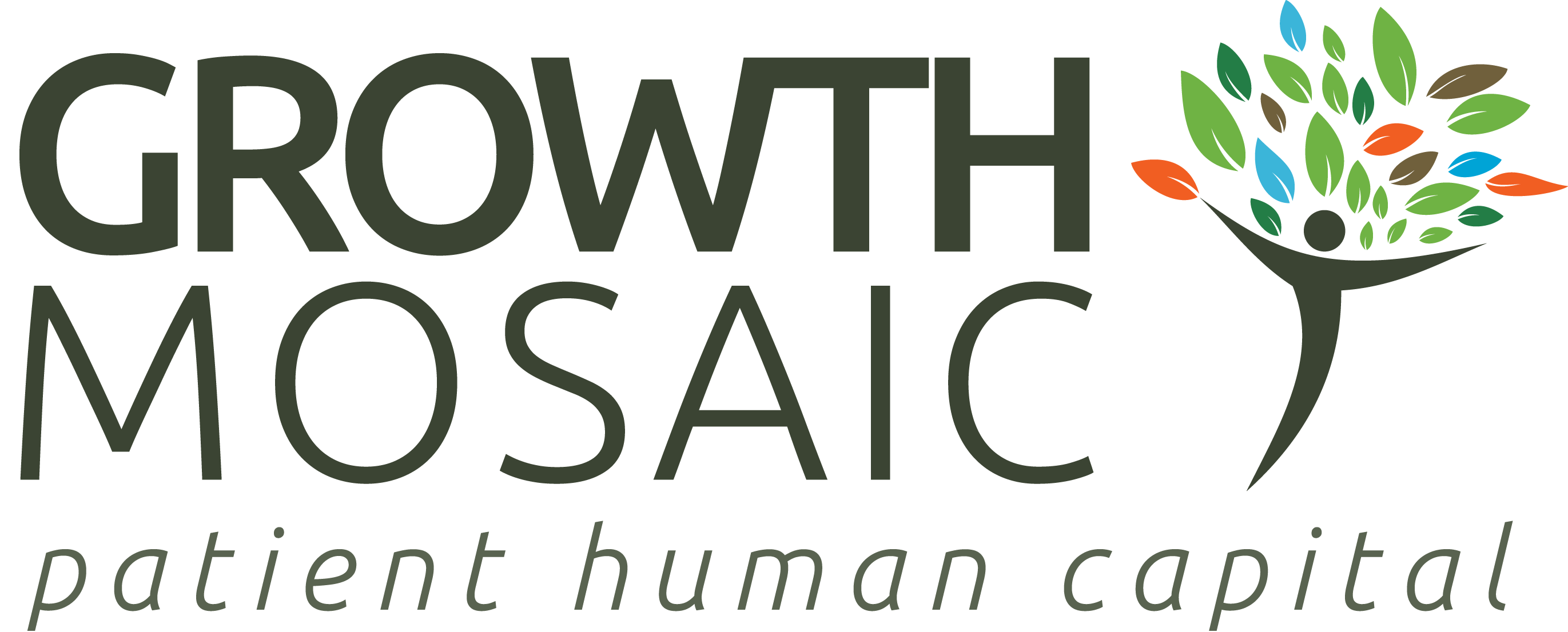 Logo for Growth Mosaic Ltd.