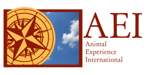 Logo for Animal Experience International