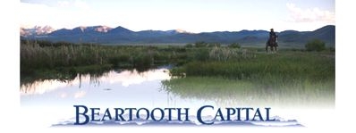 Logo for Beartooth Group