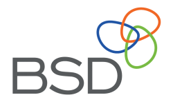 Logo for BSD Consulting