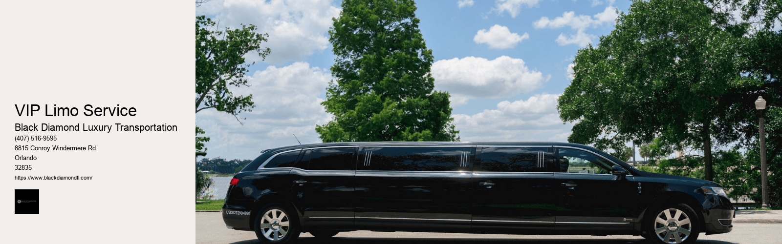 VIP Limo Service