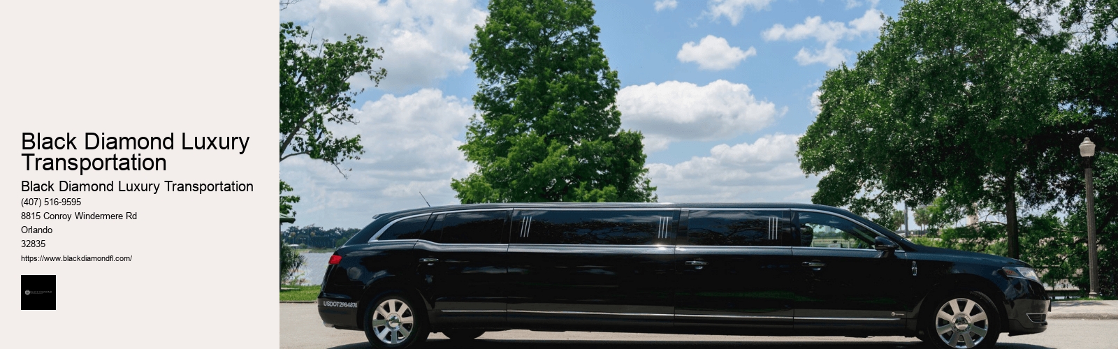 Black Diamond Luxury Transportation