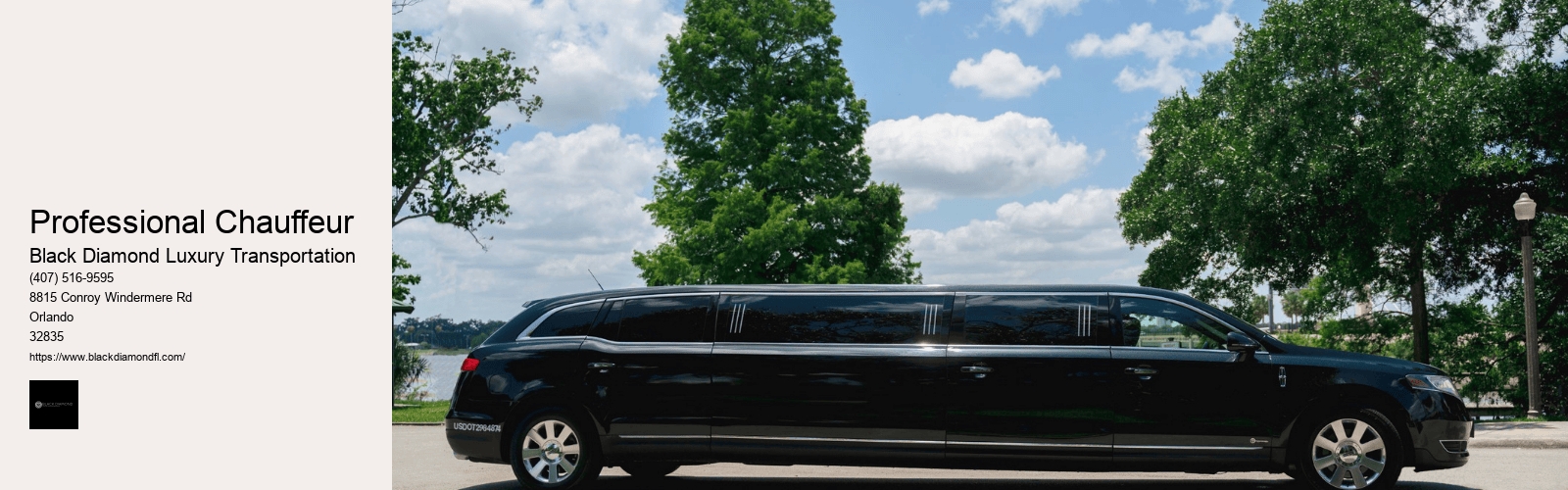 Professional Chauffeur