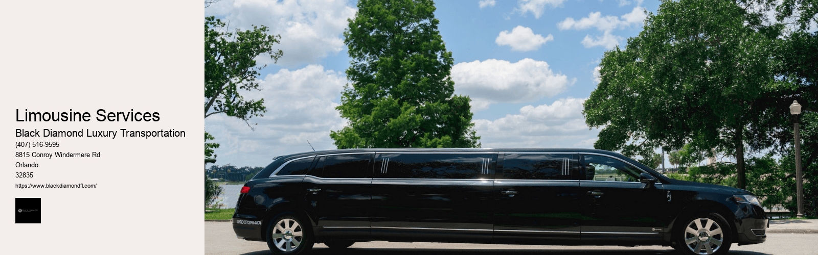 Limousine Services