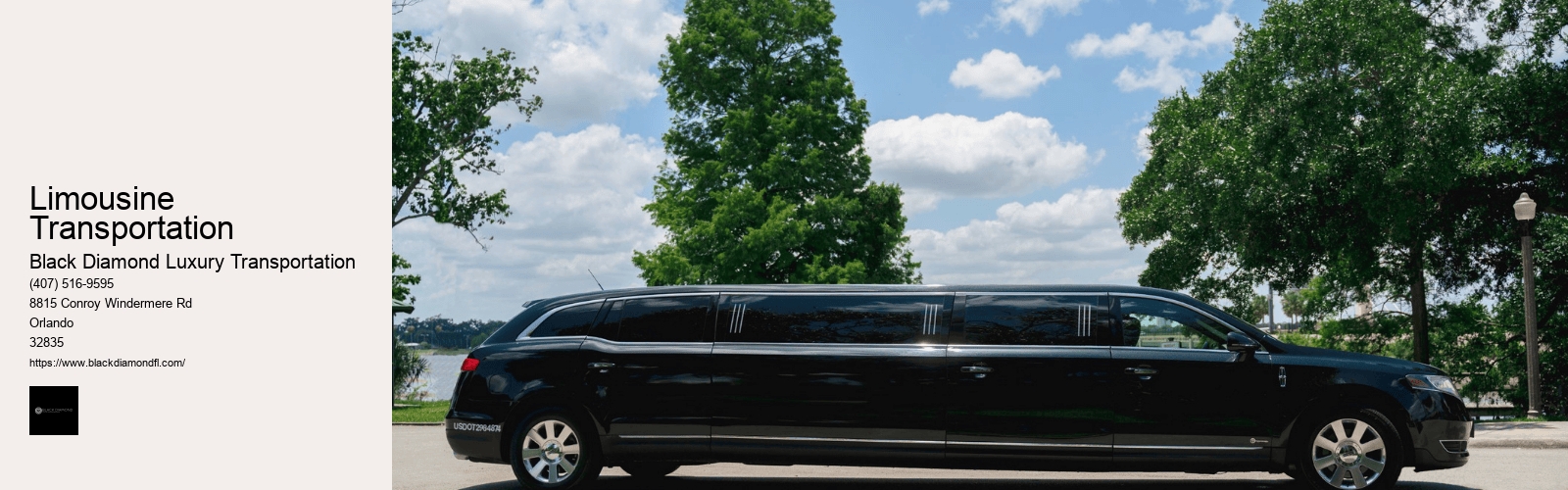 Limousine Transportation