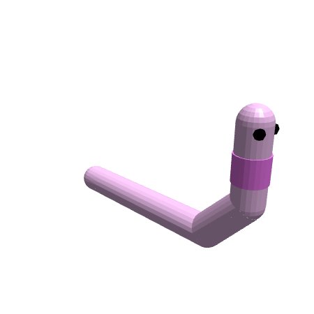 Shelby the worm (gusanito)