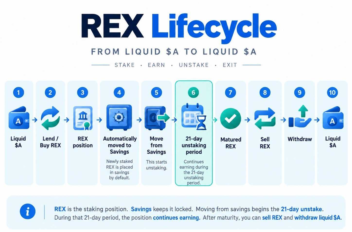 REX-lifecycle.jpg