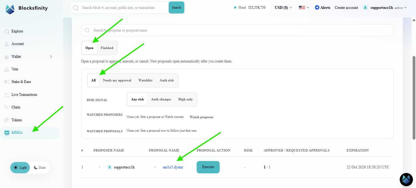 Blocksfinity-5-MSIG-1-overview-proposals.png
