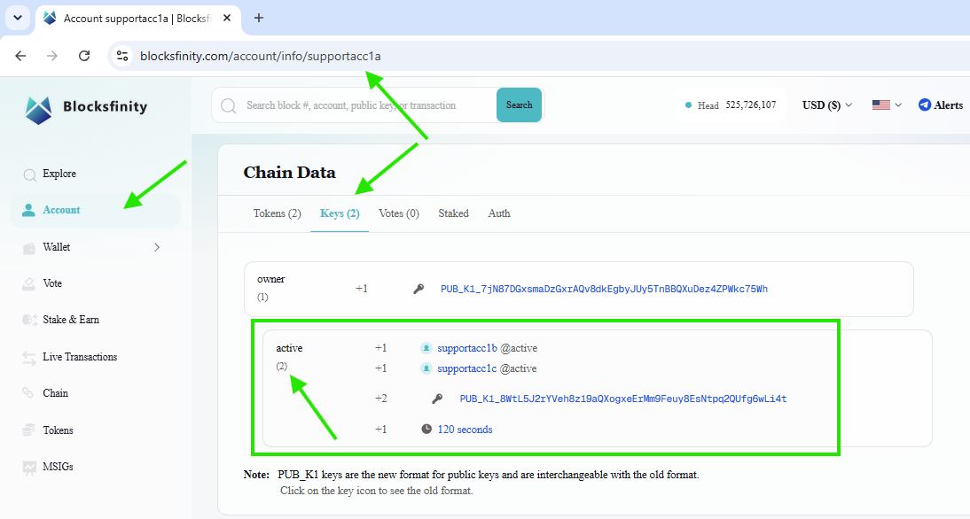 Blocksfinity-7-MSIG-1-active-permission-supportacc1a-example.png