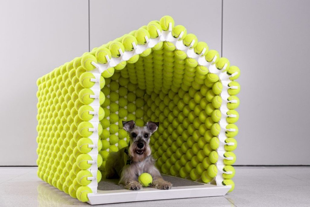The Perfect Dog House That Makes A Dogs Home Playful 123 Design Blog