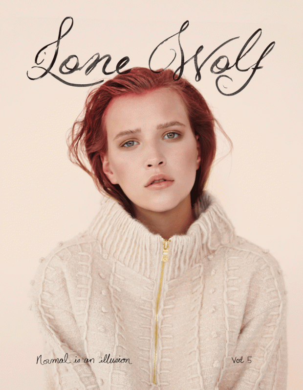 The Lone Wolf Cover