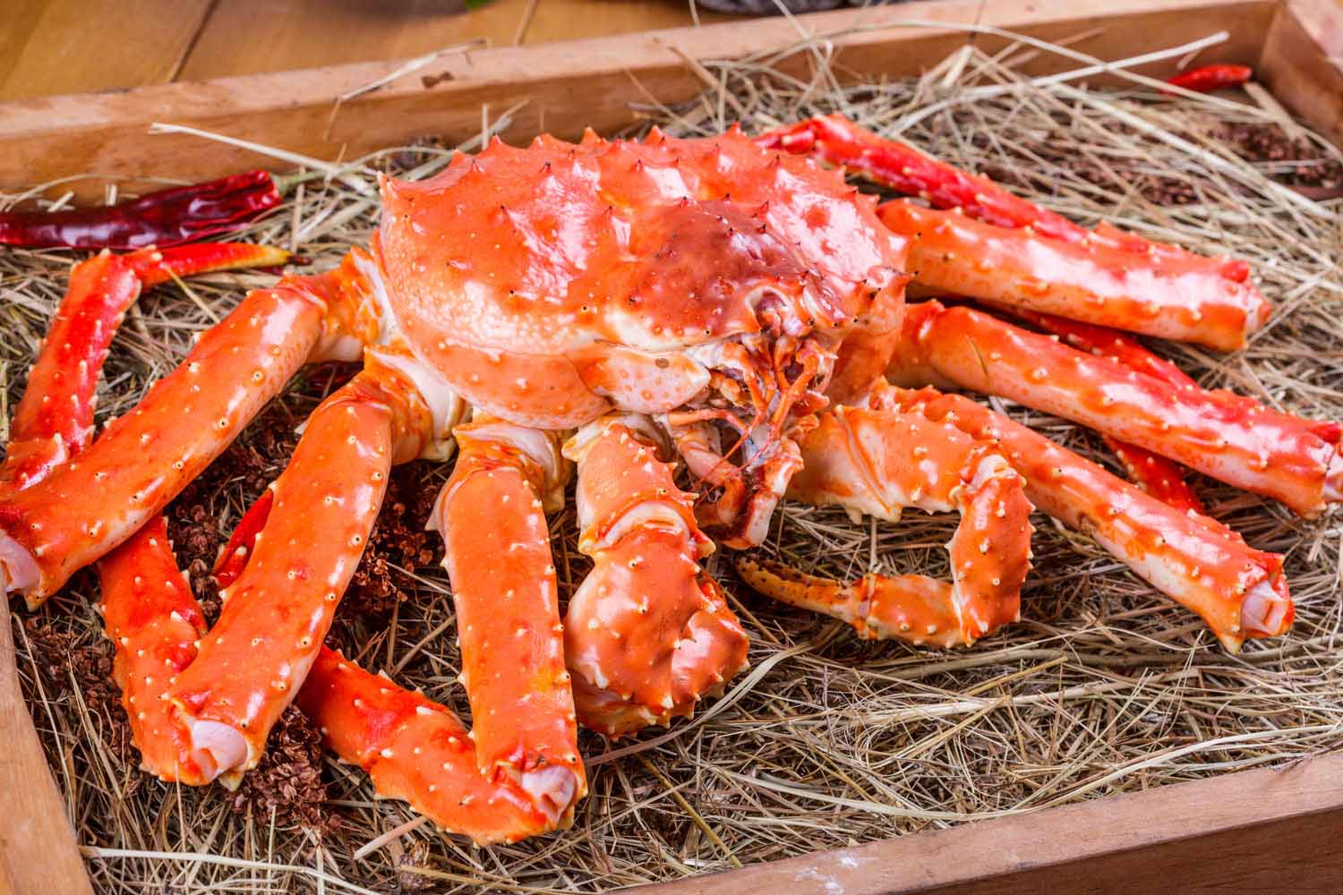 La centolla es la vedette gastronómica de Ushuaia. Y hay que probarla para opinar