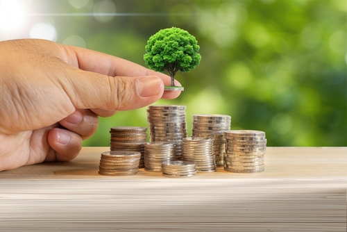 التقاعد المبكر