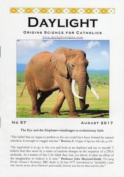 Daylight : Origins Science for Catholics, August 2017 - Creation and ...