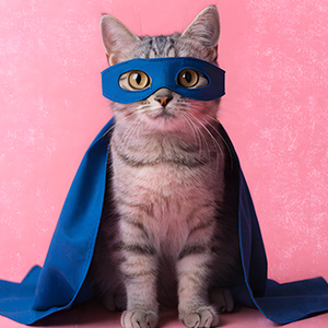 nomes geeks ou nerds para cães e gatos