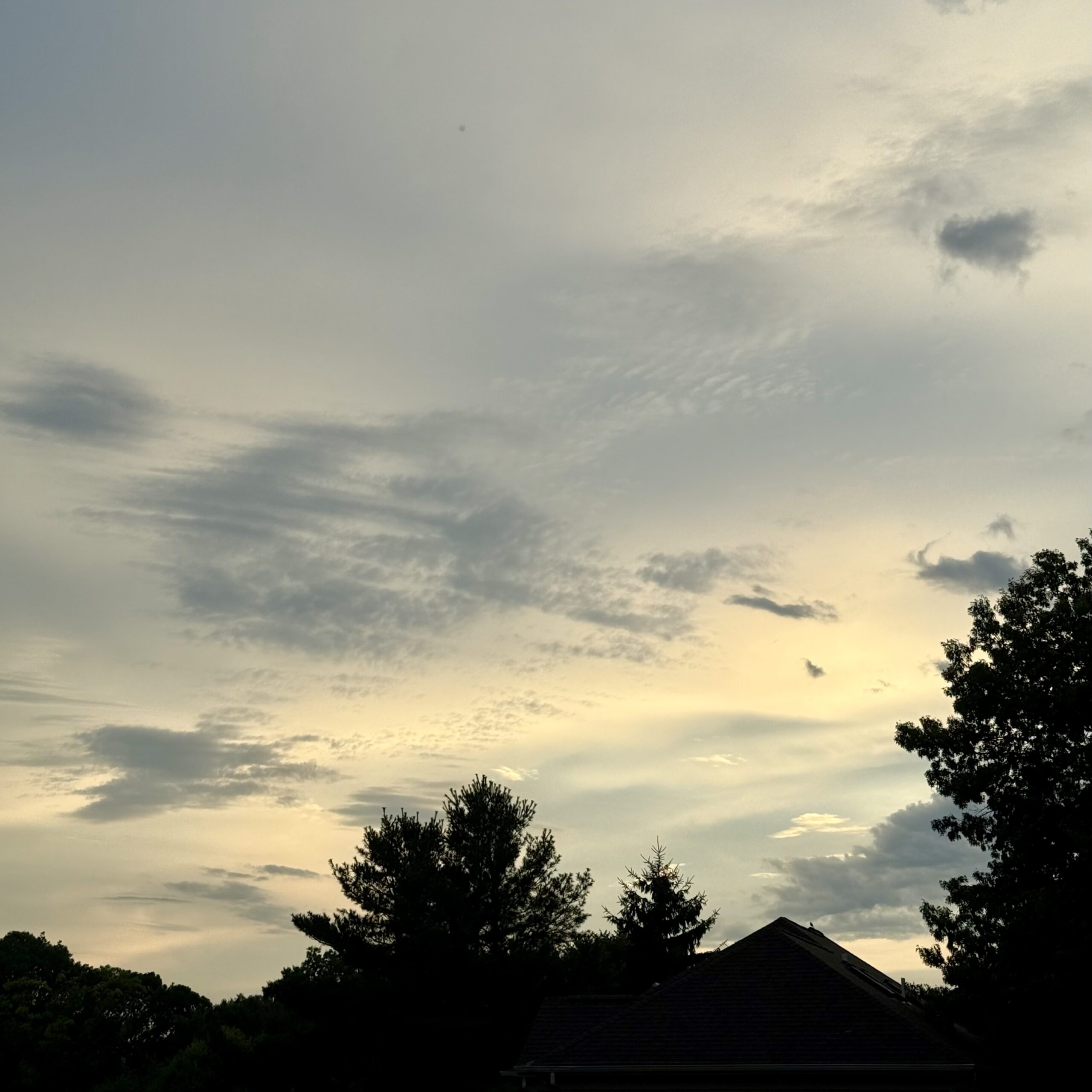 The View . . .
