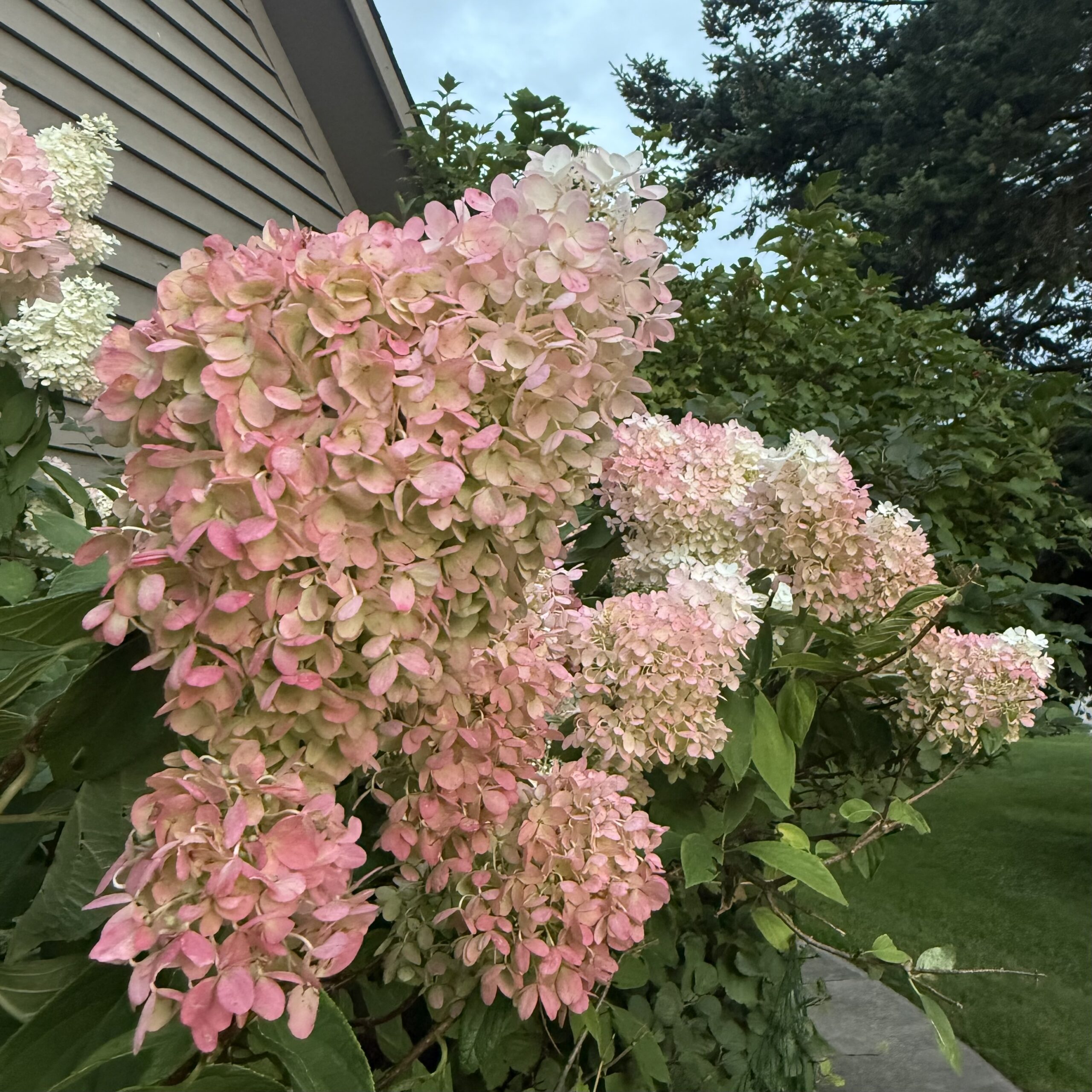 A Season of Letting Go