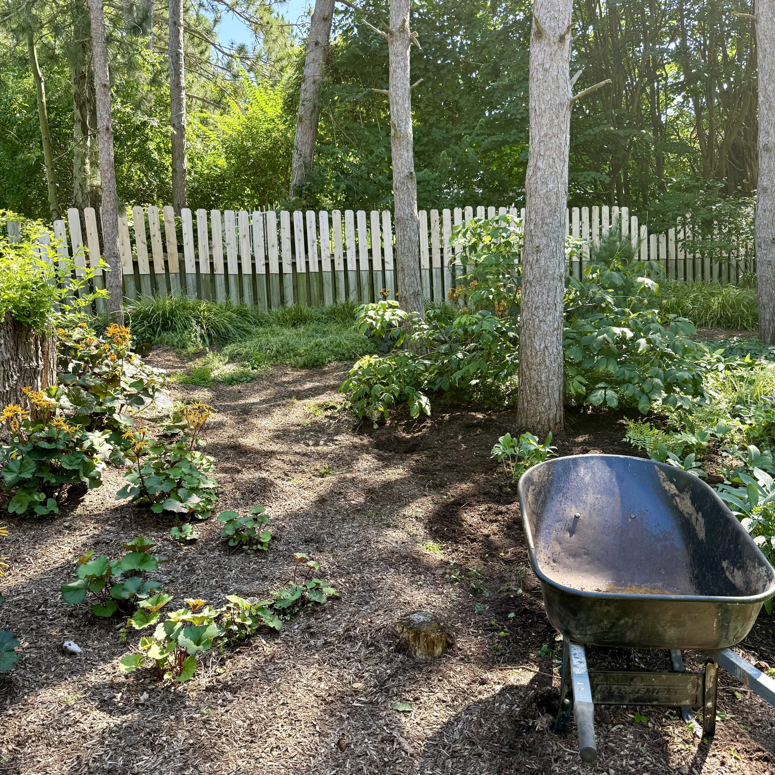 Tales From the Garden | My Wrecking Ball