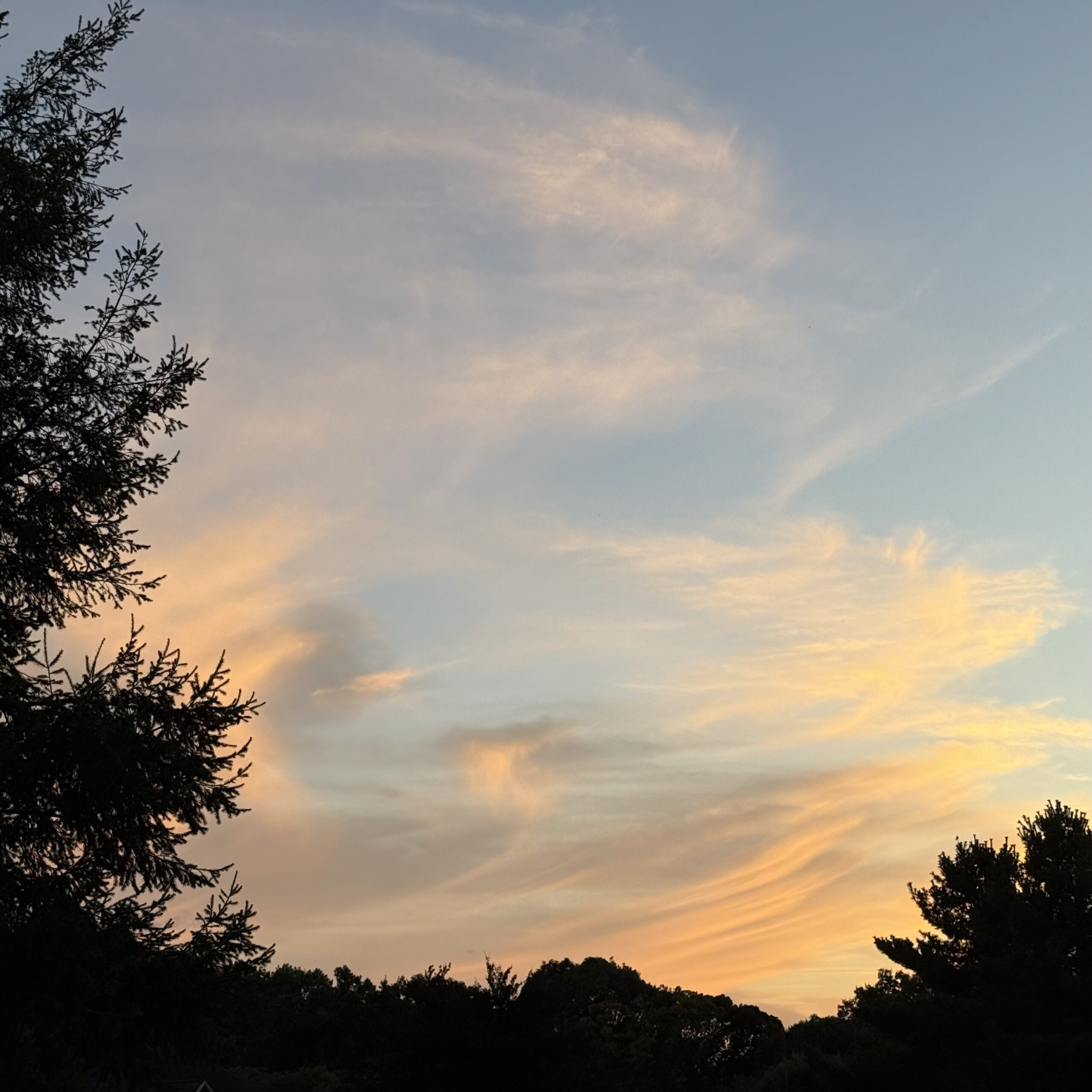 The View . . .