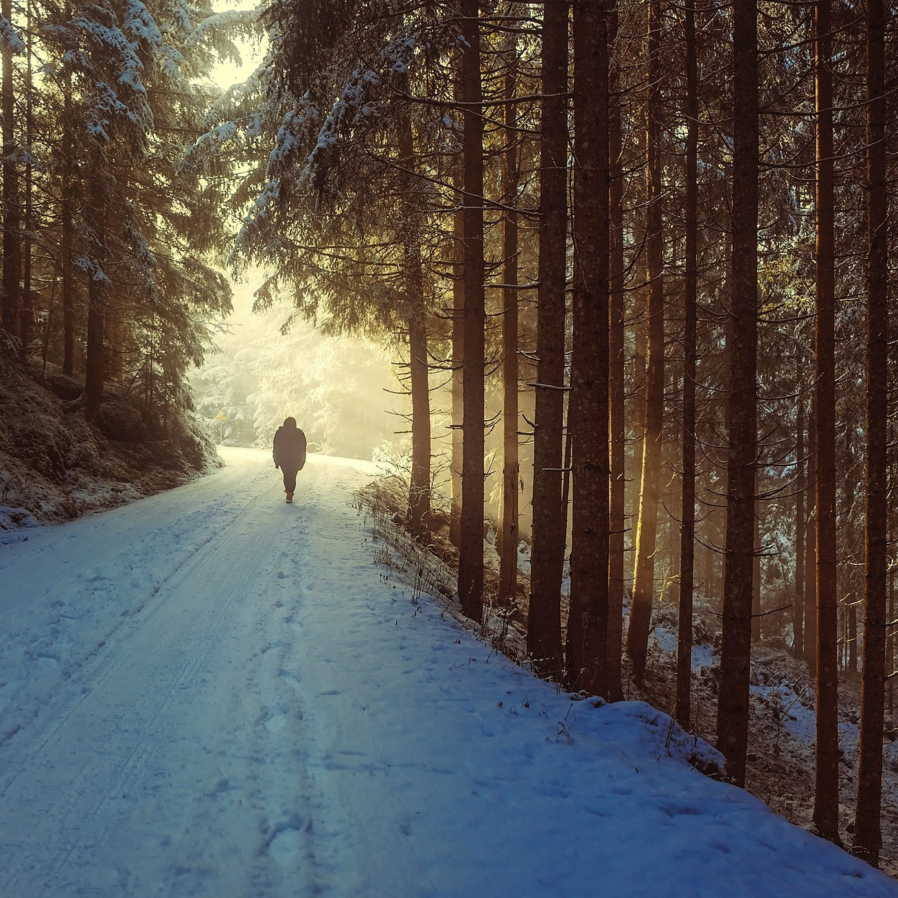 A Gathering of Poetry | January 2026