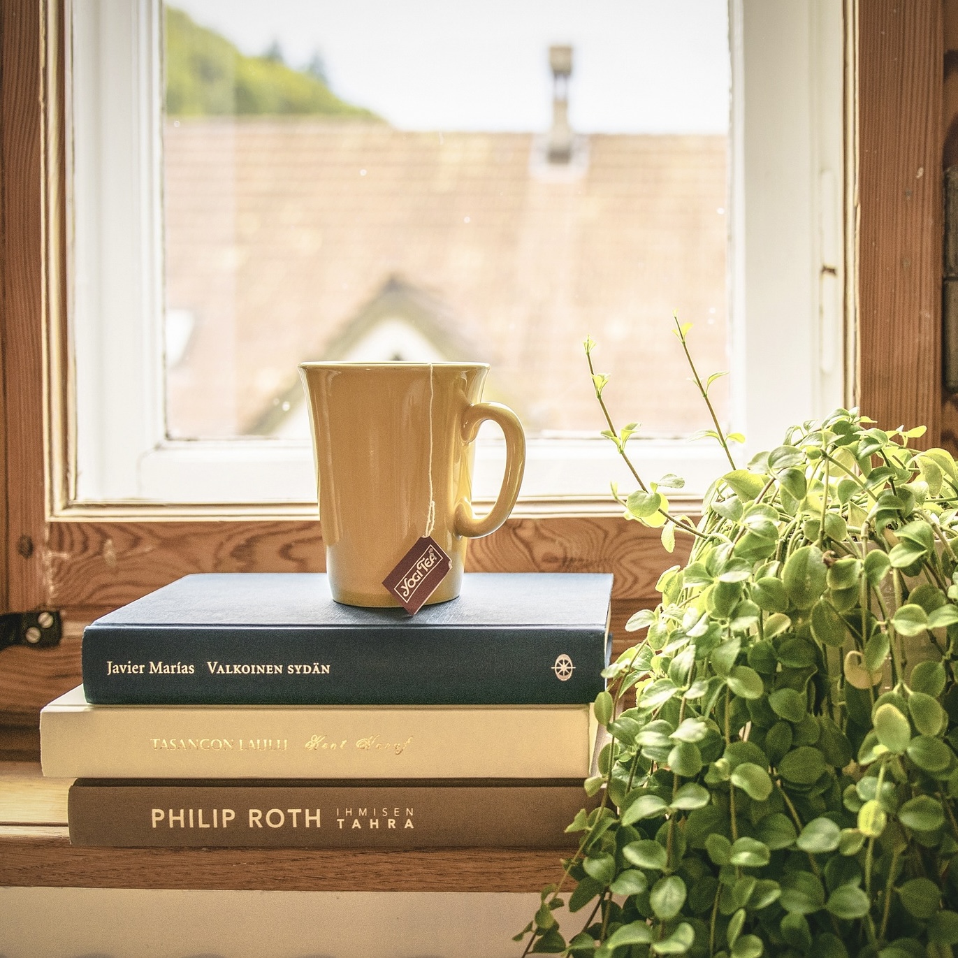 ARC Book Reviews | 2026