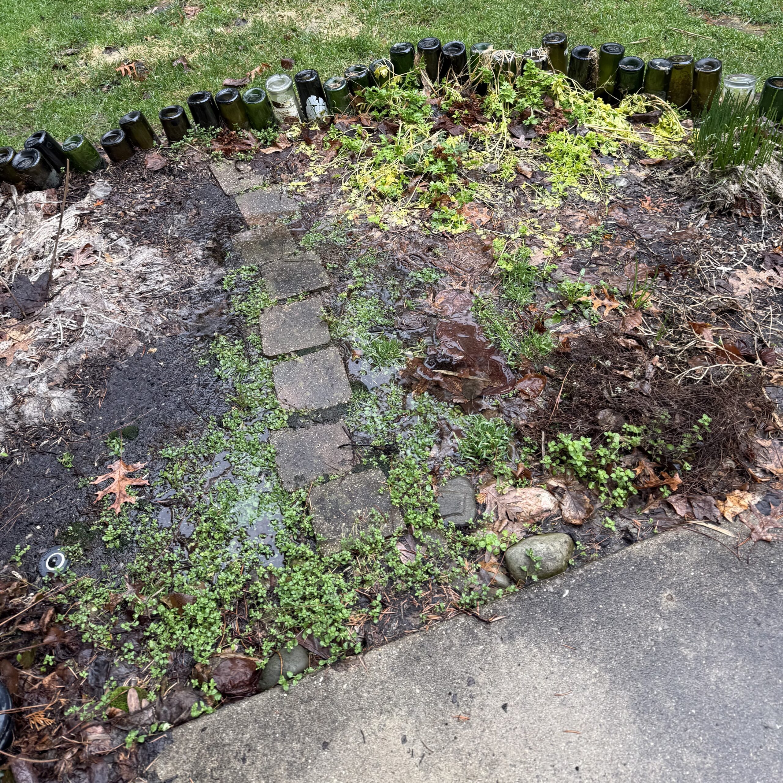 Tales From the Garden | Time for Restraint