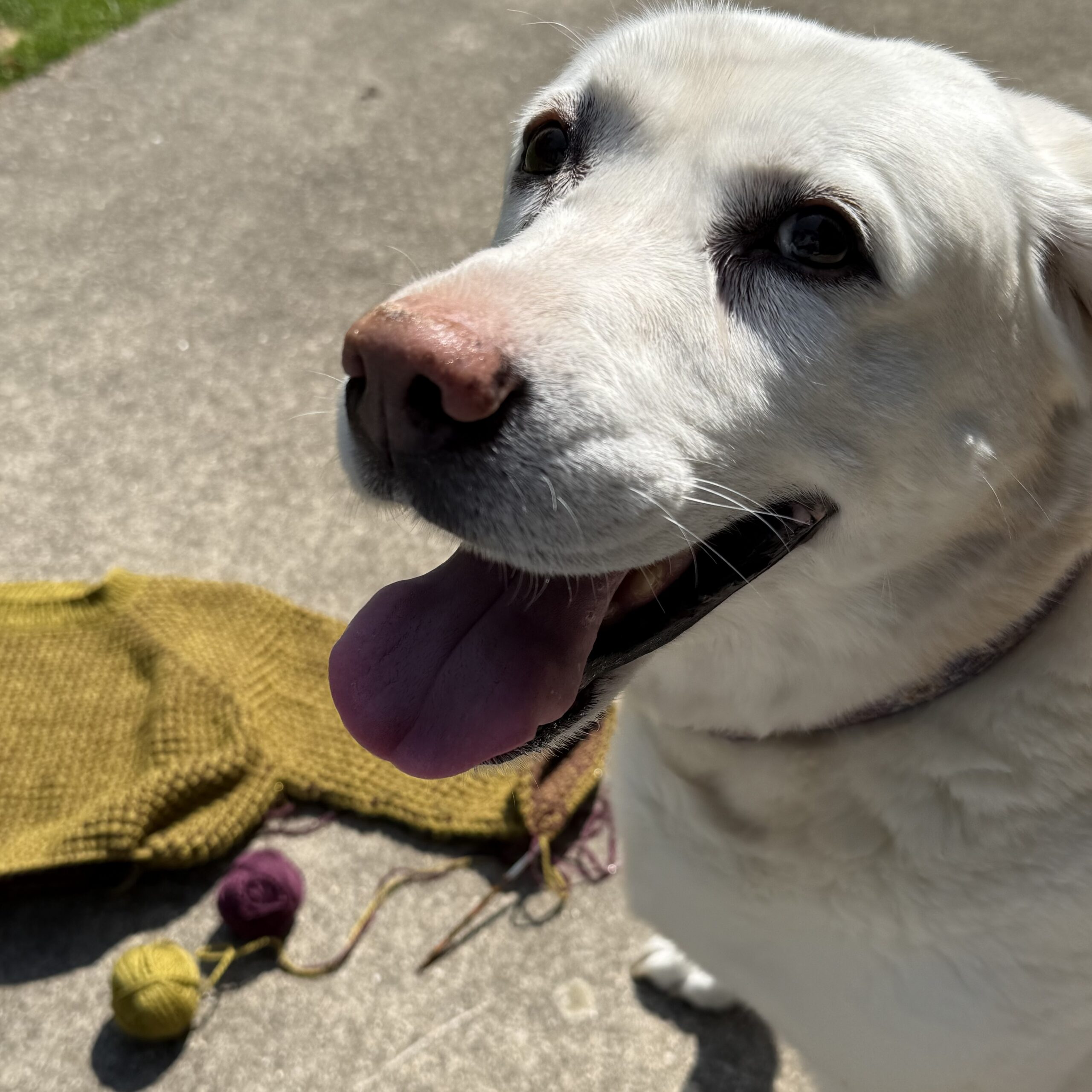An Endless Black Hole of Knitting