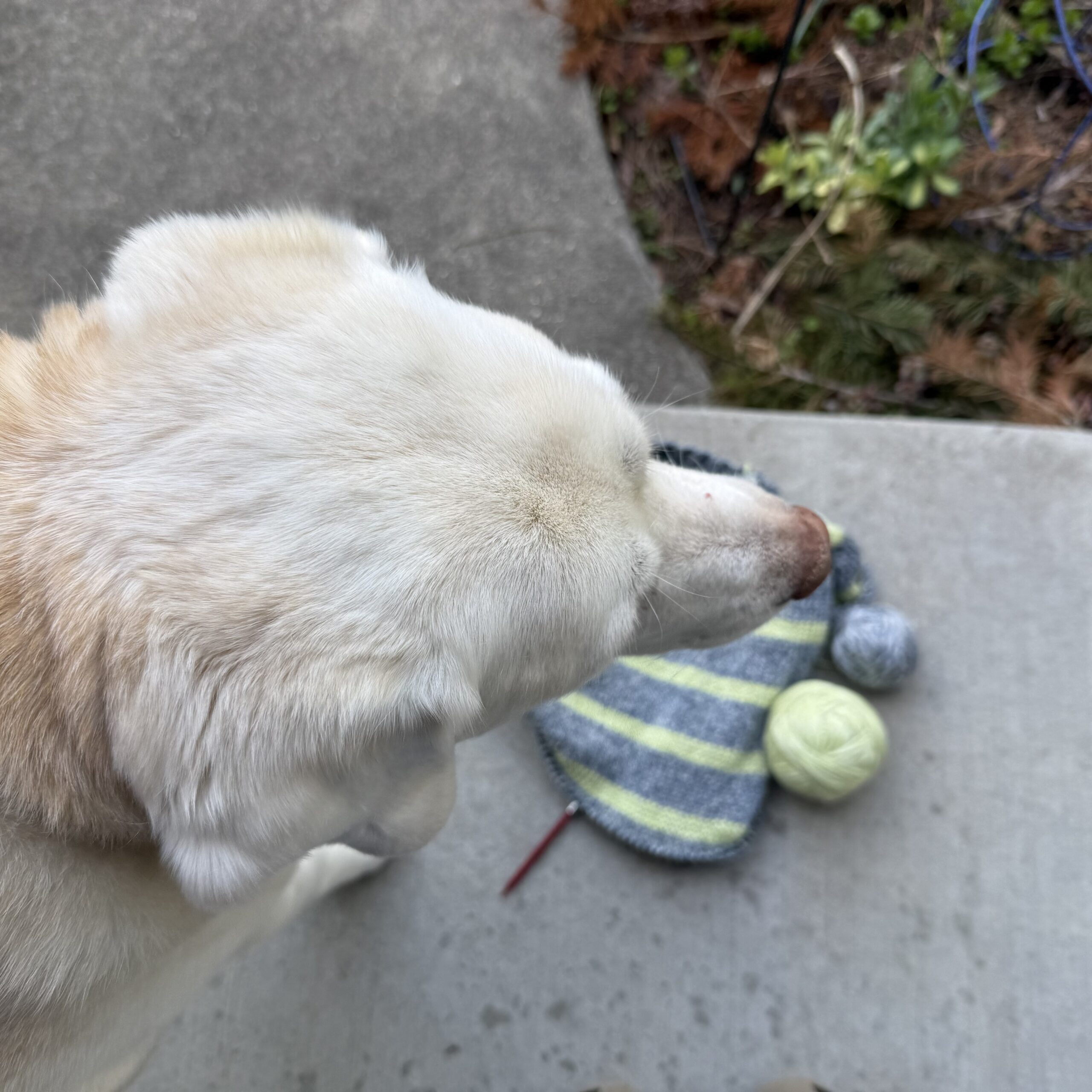 Now We’re Talkin’