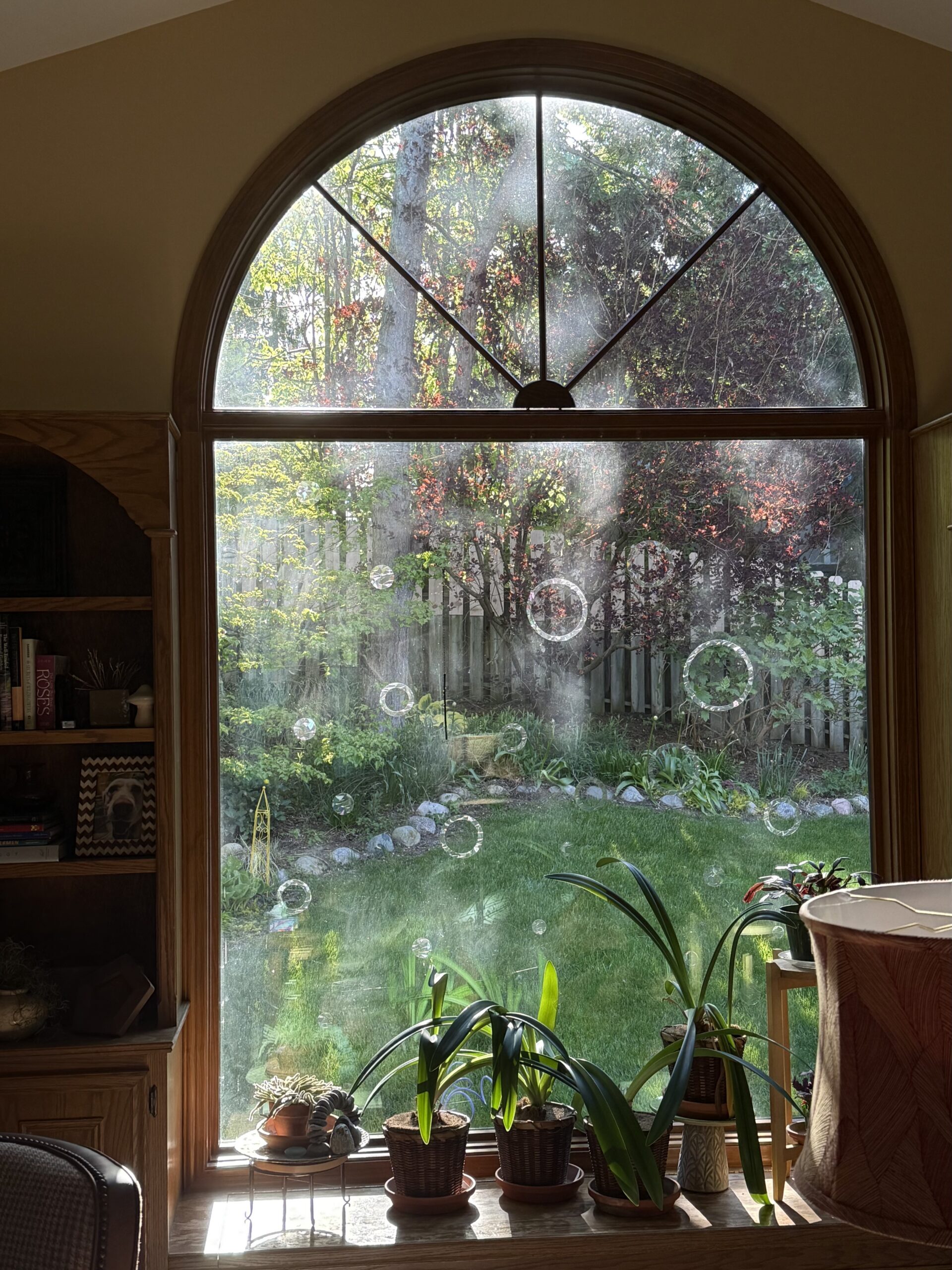 magic window