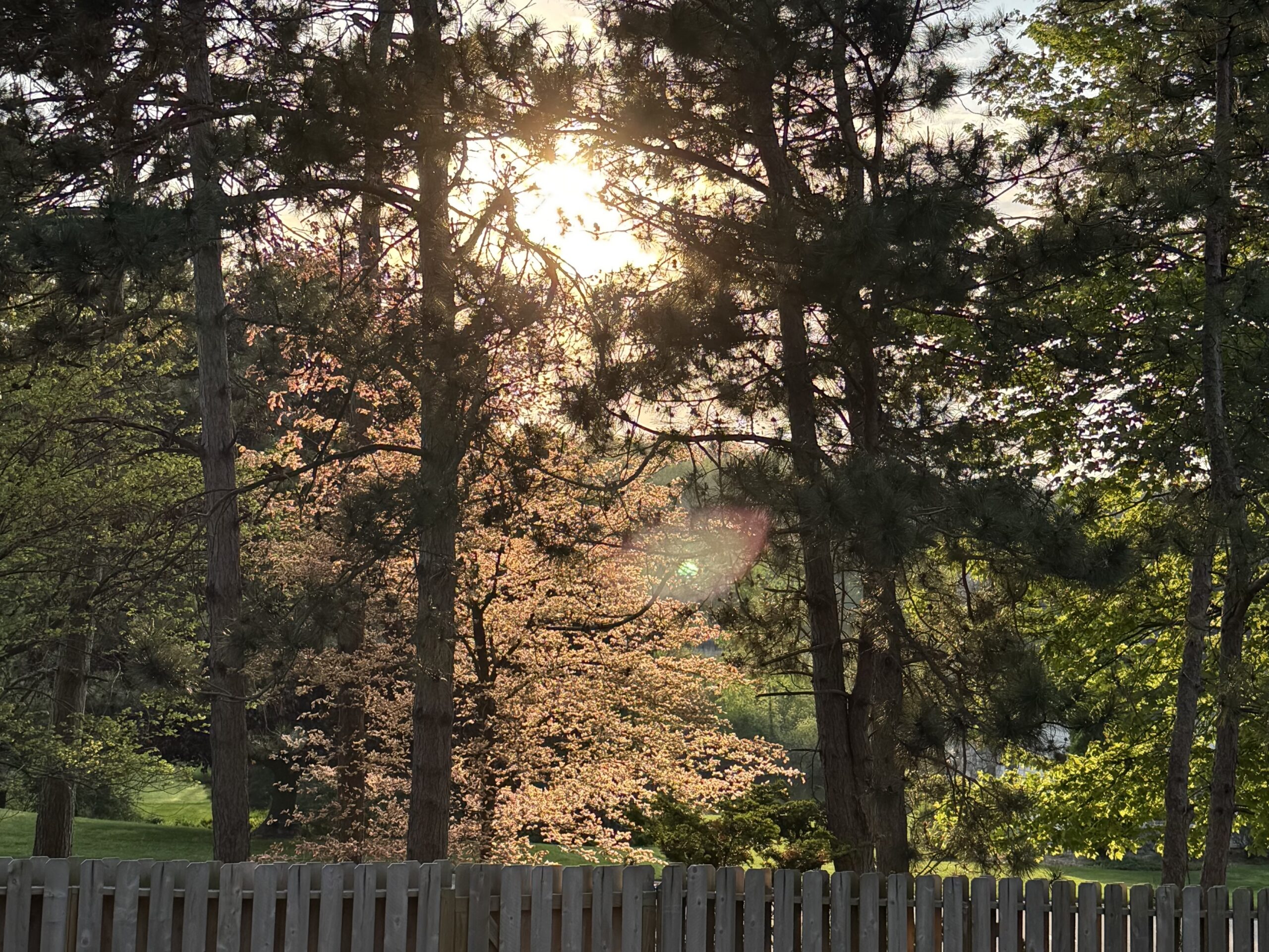 unfolding at sunset