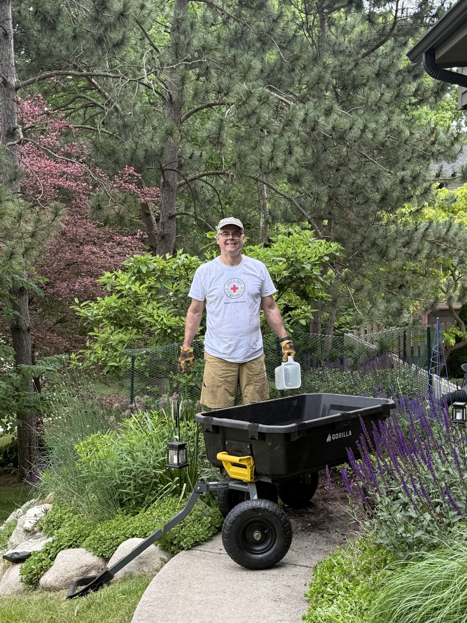 my garden hero