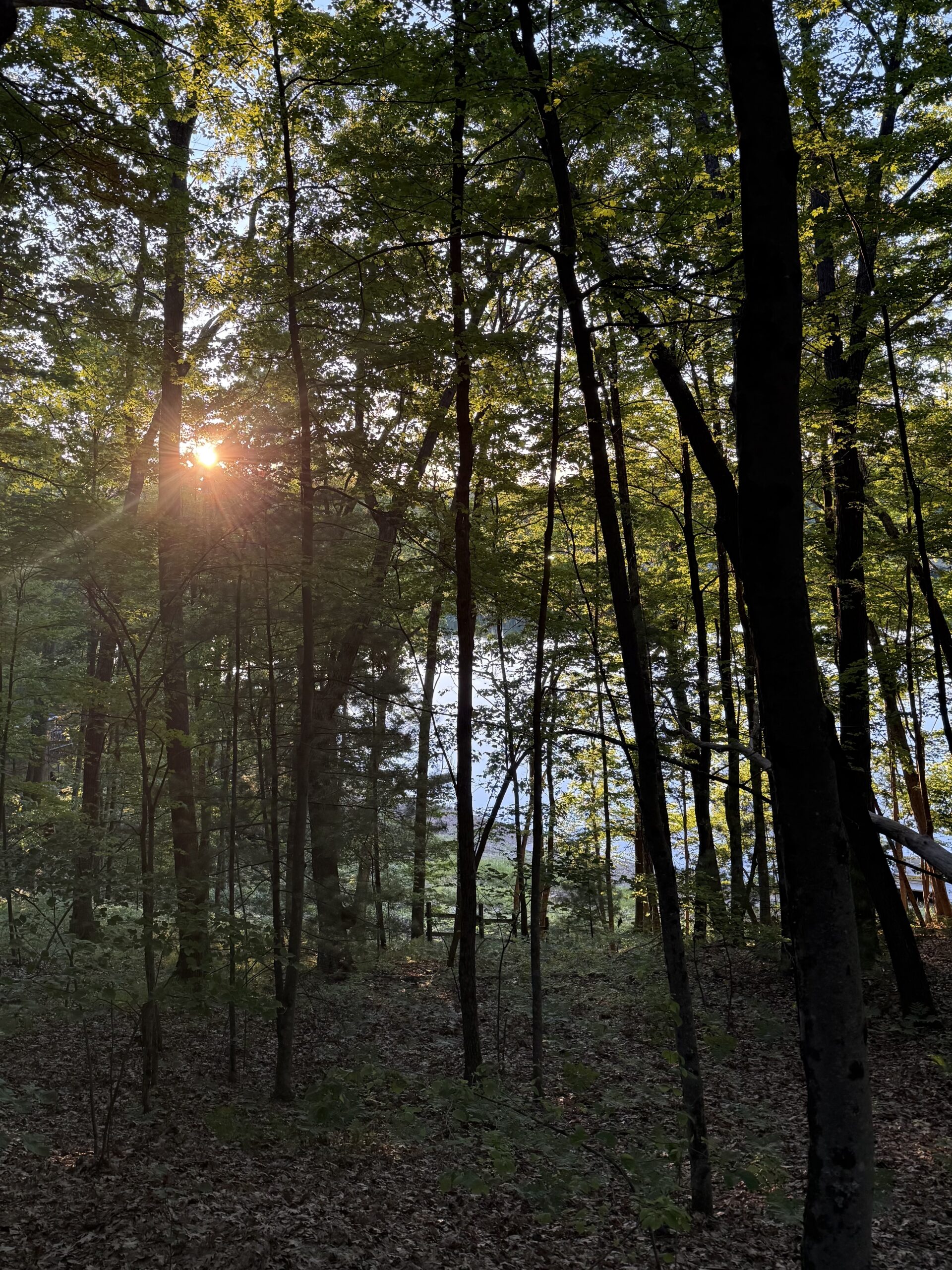 lake view