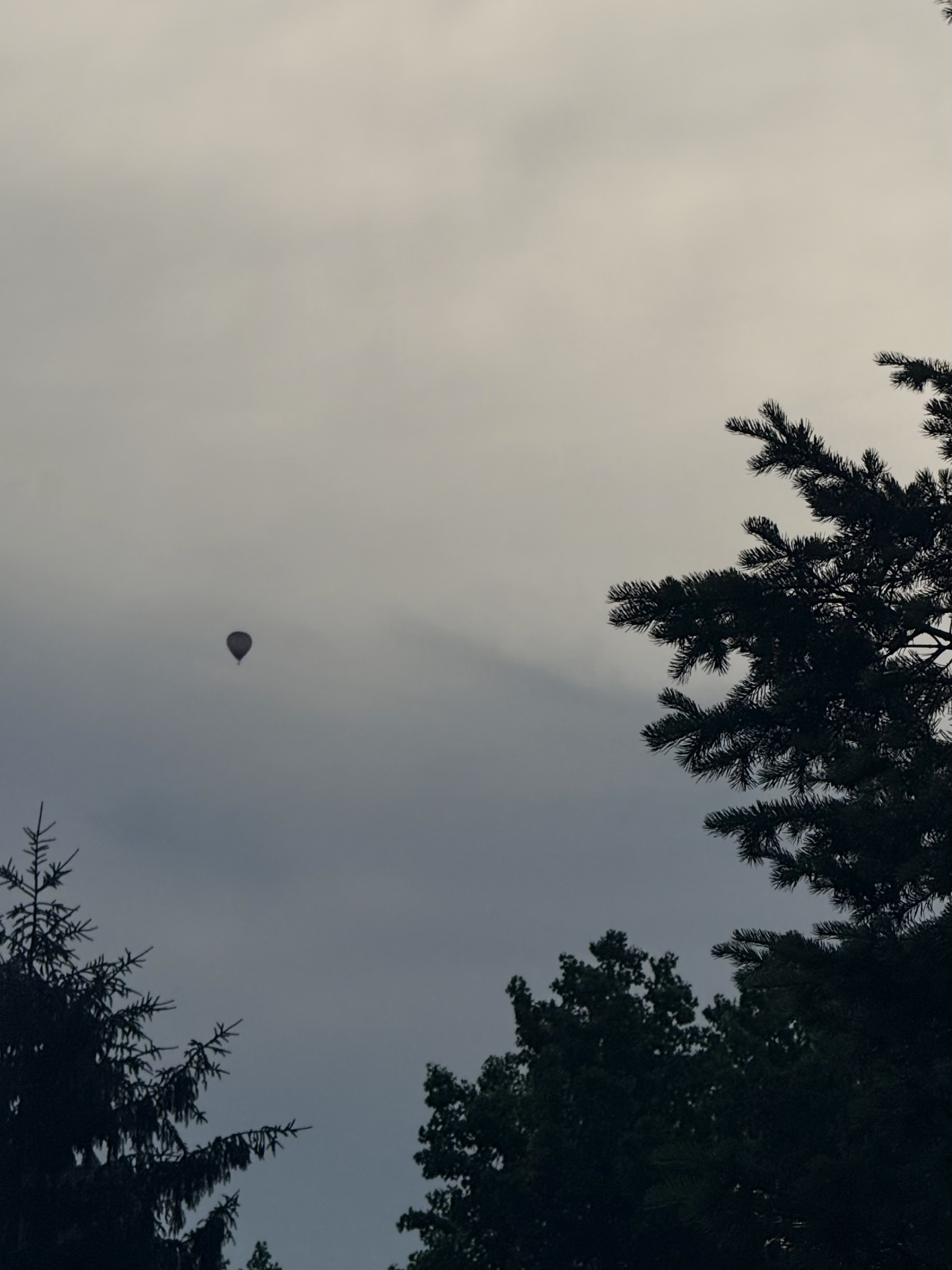 hot air balloon