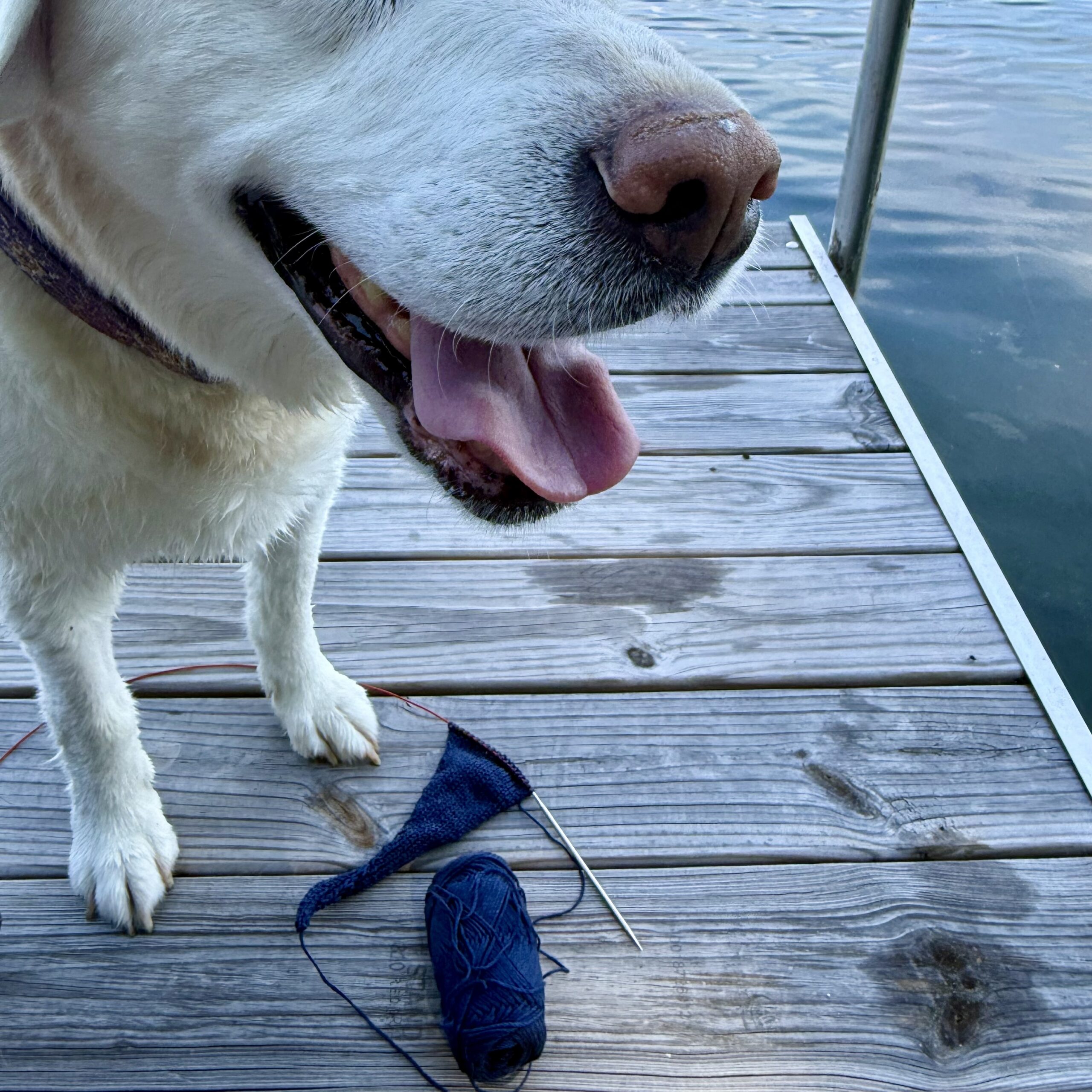 My Summer of Knitting Neckwear