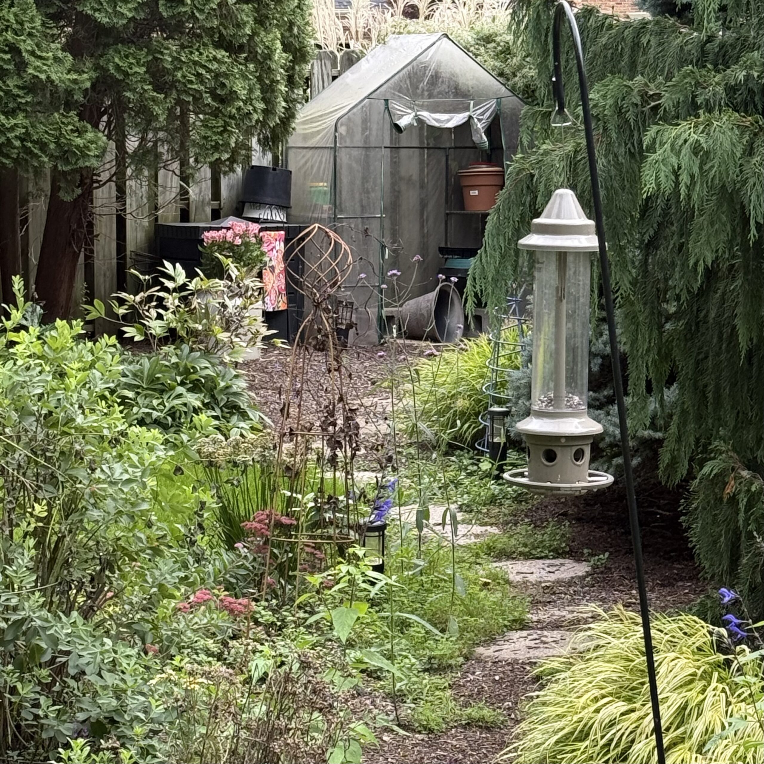 Tales From the Garden | It’s Always Something!