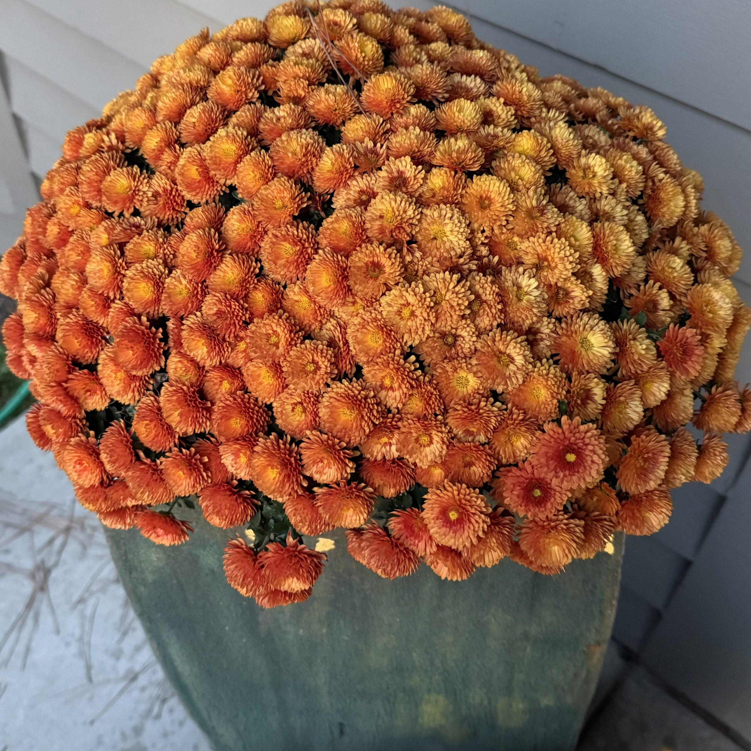 On Fall