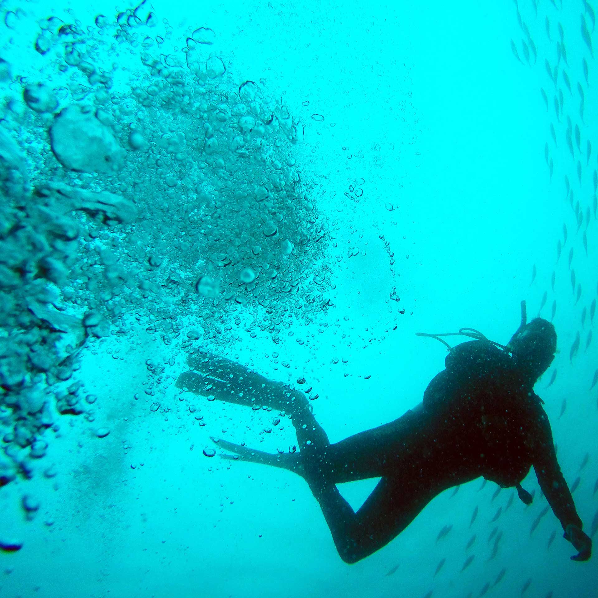 quickfit 26 watch bands