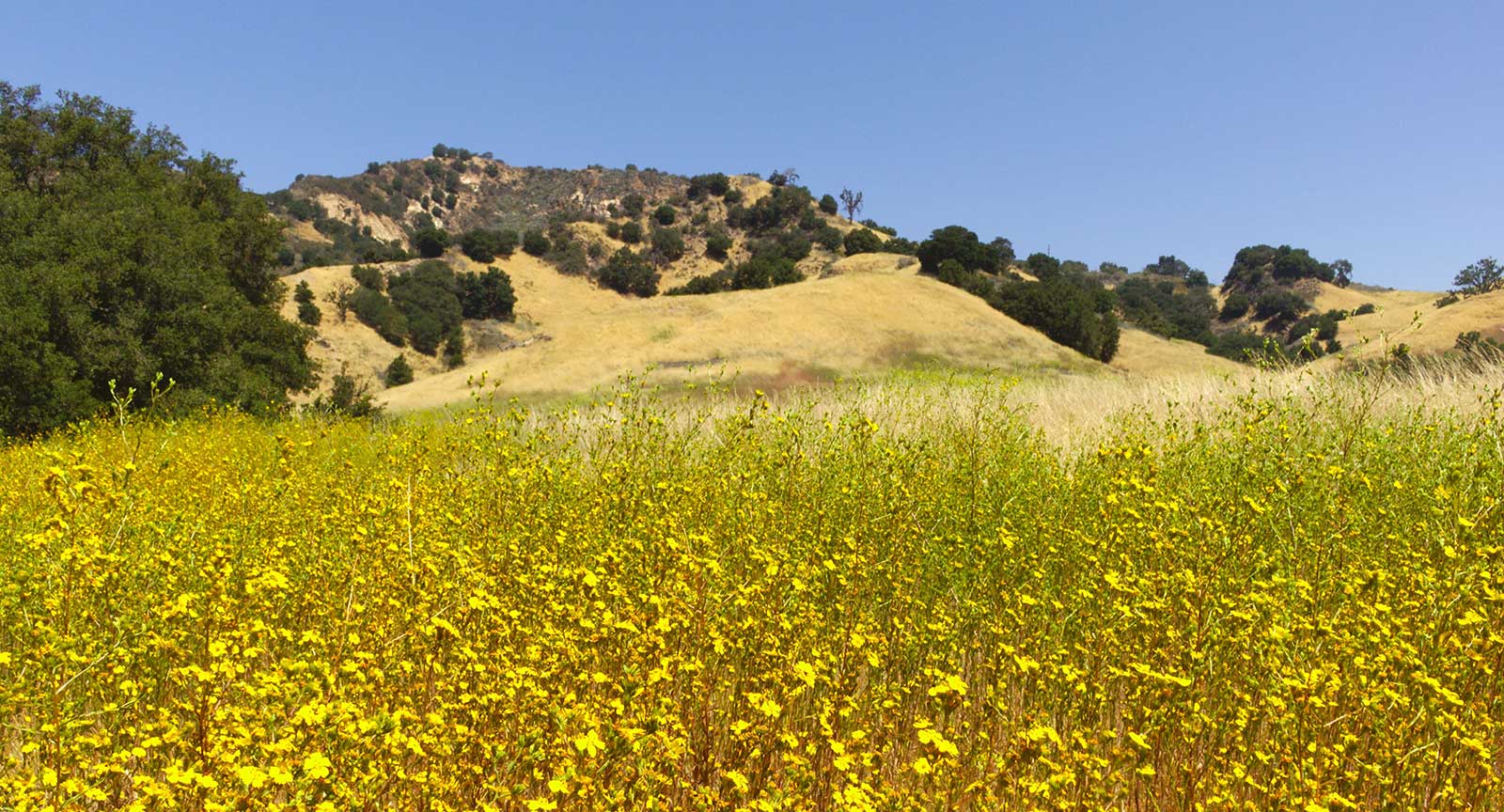 malibucreekstatepark Malibu Beach Inn Hotel Blog