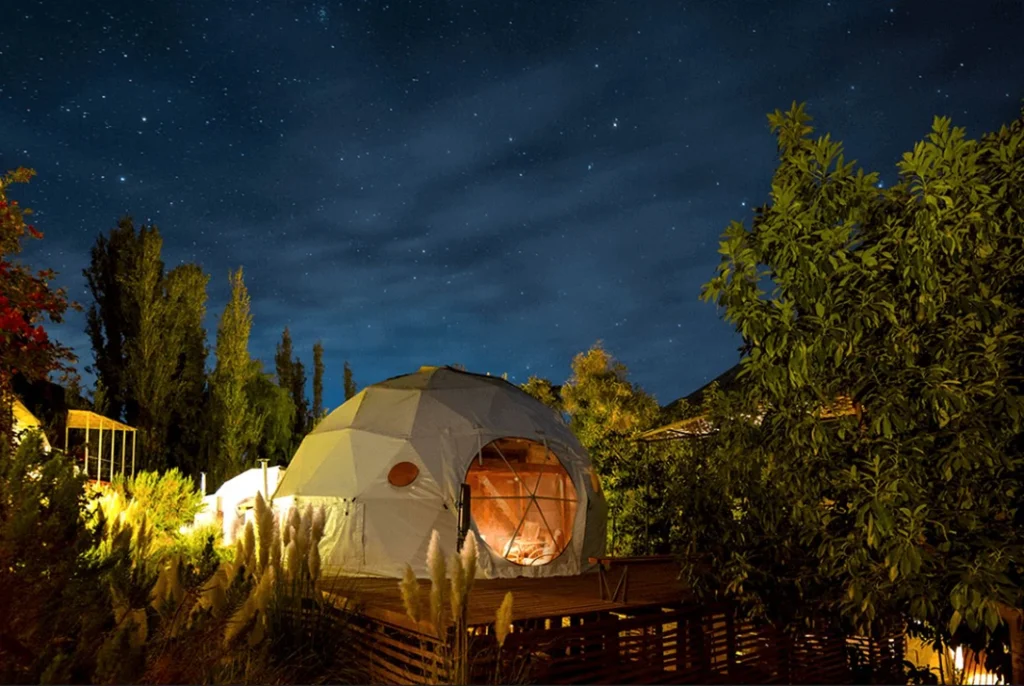 A Night Under the Stars