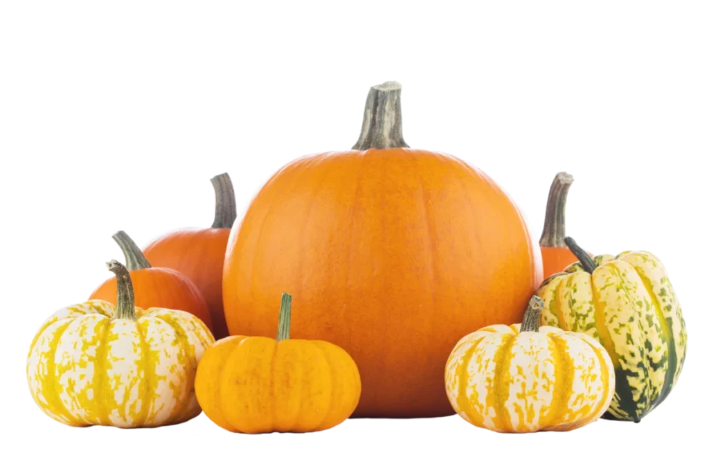 Pumpkins
