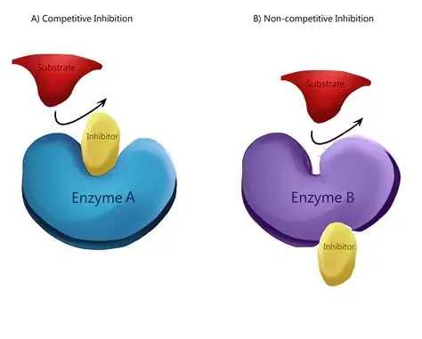 Enzyme Inhibition