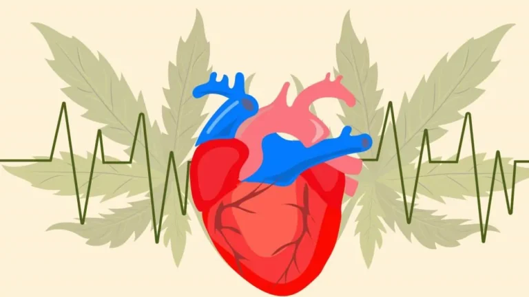 Exploring the Relationship between CBD and Heart Health