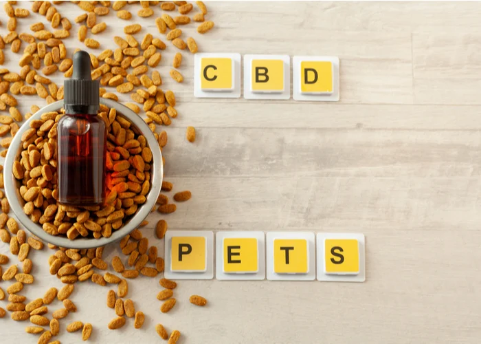 CBD Dosage for Dogs