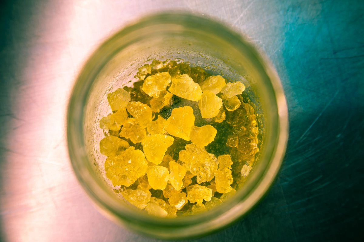 Cannabis Plants Concentrates