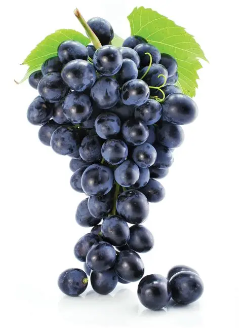Grape