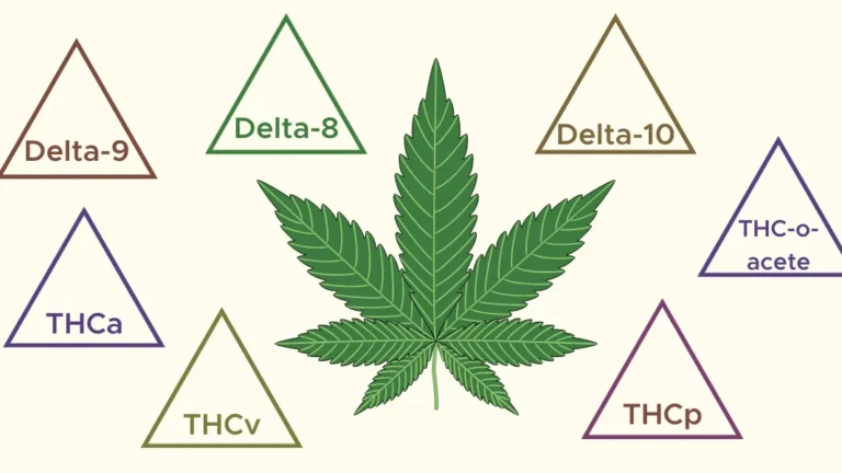 The Mind-Altering World of THC: A Guide to Its Many Forms and Potent Effects