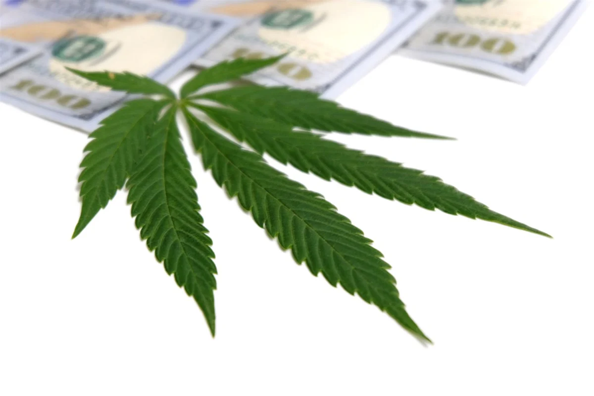 Cannabis Investment Strategies