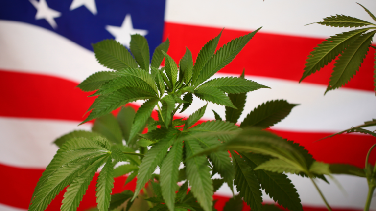 Explosive Hope: Trump’s Bold Push for Federal Cannabis Rescheduling Sparks Major Reform Momentum in 2025