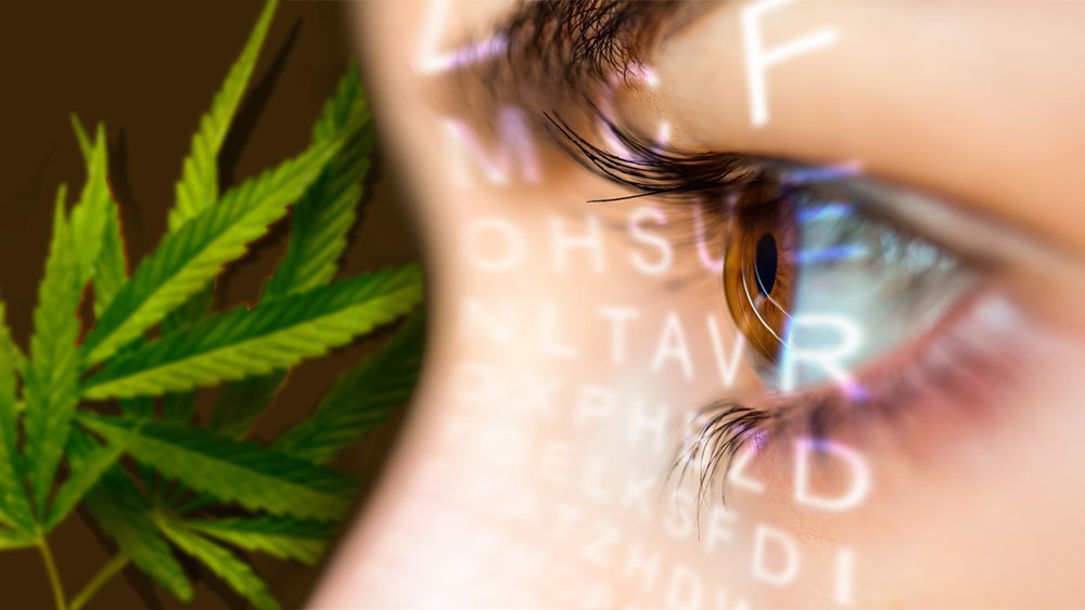 Is Weed Good for Glaucoma