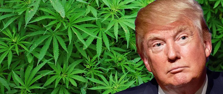 Trump's Stance and Recent Developments